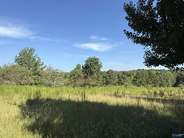 Altoona, AL 35952,1150 Buzzard Rock Road