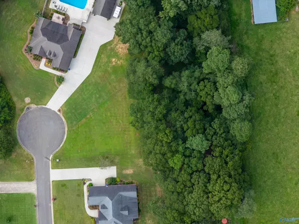 Albertville, AL 35951,Lot 12 Mitchem Lane