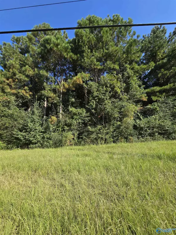 Altoona, AL 35952,.77 acres Main Street