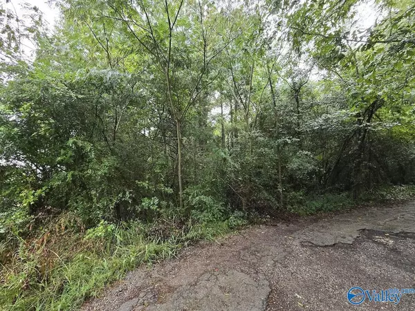 Altoona, AL 35952,.77 acres Main Street