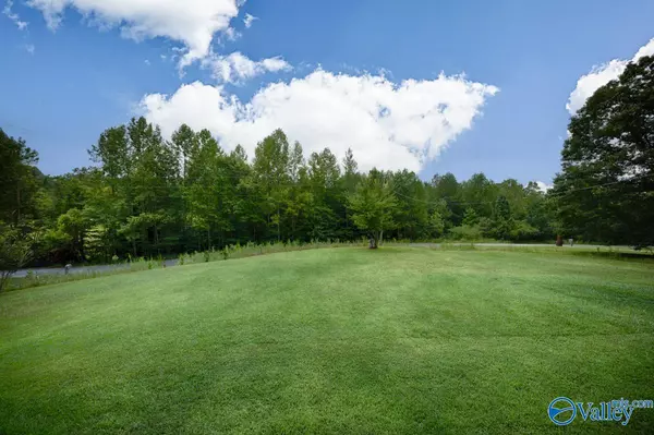 Scottsboro, AL 35768,244 Sparkman Road