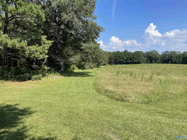 41 Acres/298 Spinks Drive, Gadsden, AL 35903