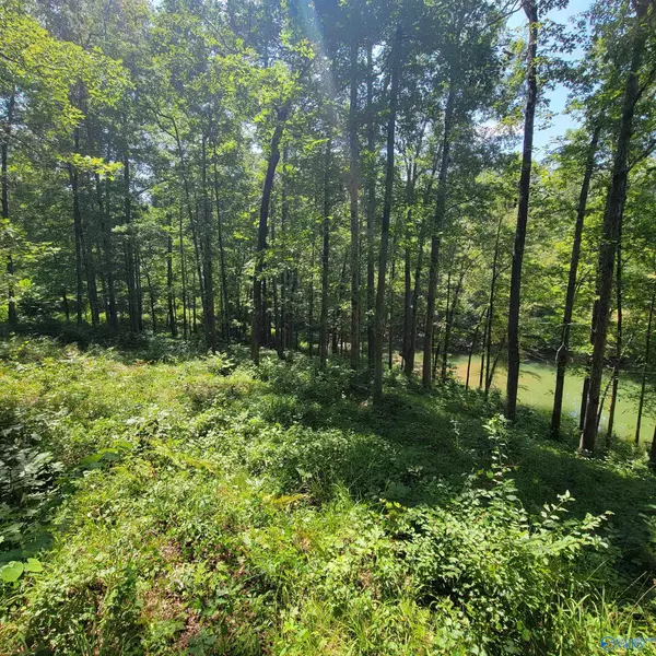 Arley, AL 35541,LOT 25 Legendary Parkway