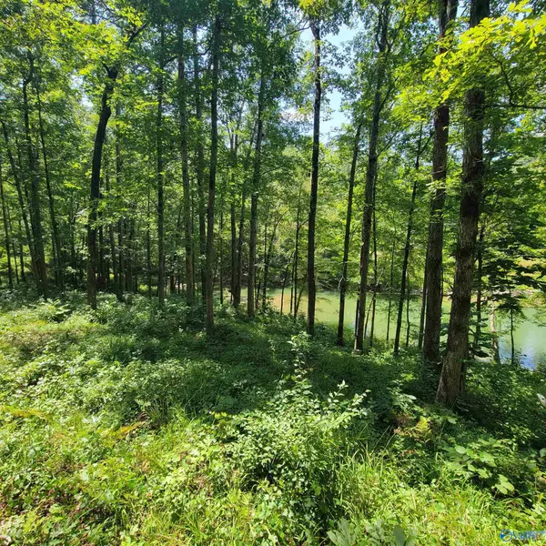 Arley, AL 35541,LOT 25 Legendary Parkway