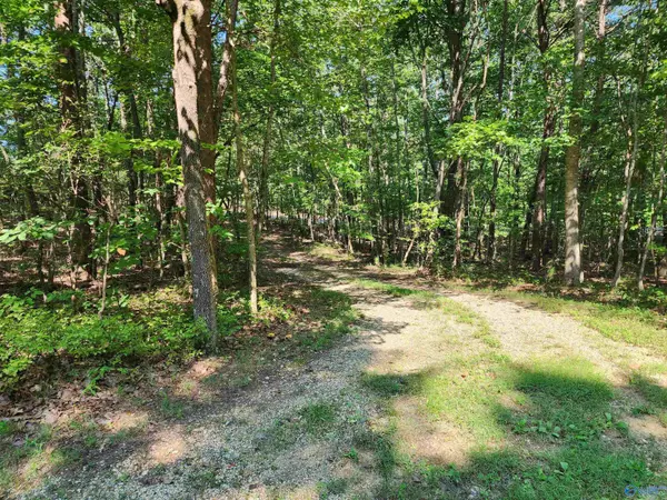 Mentone, AL 35984,1770 County Road 103