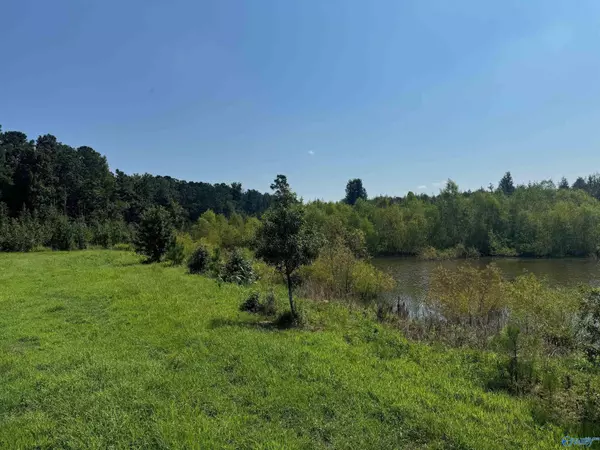 Centre, AL 35960,97 Acres +/- County Road 619