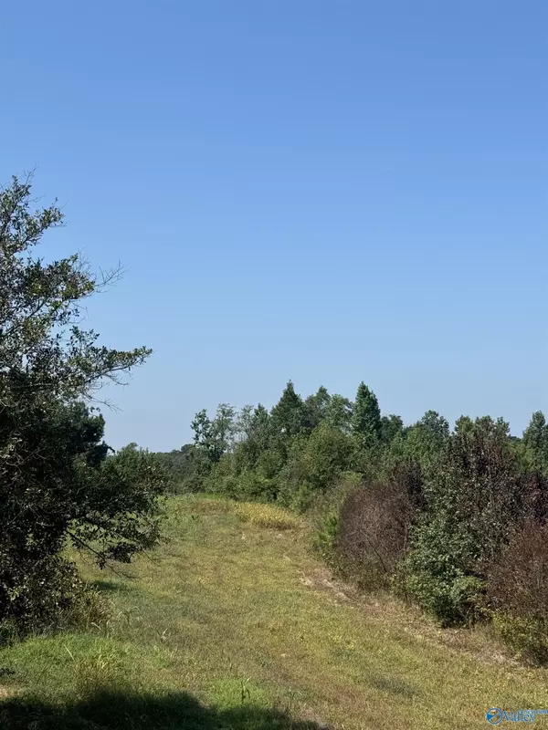 Centre, AL 35960,97 Acres +/- County Road 619