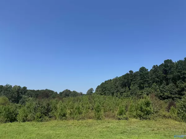 Centre, AL 35960,97 Acres +/- County Road 619