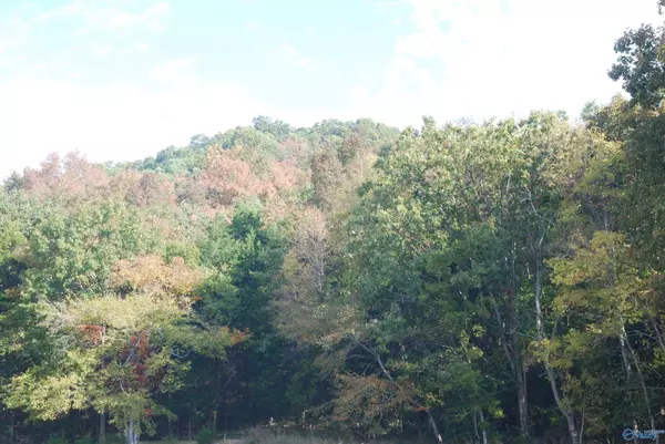 Brownsboro, AL 35741,930 Dug Hill Road