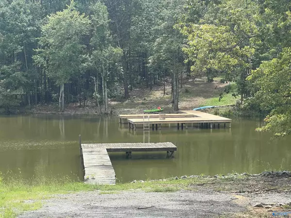 Cedar Bluff, AL 35959,lot 4 County Road 819