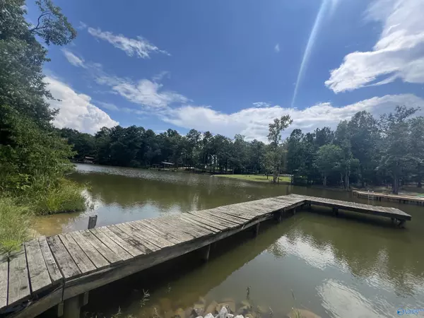 Cedar Bluff, AL 35959,lot 29 County Road 819