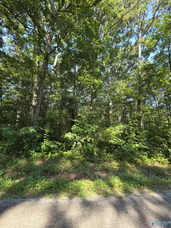 Lot 37 County Road 249, Leesburg, AL 35983