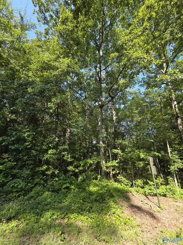 Lot 36 County Road 249, Leesburg, AL 35983