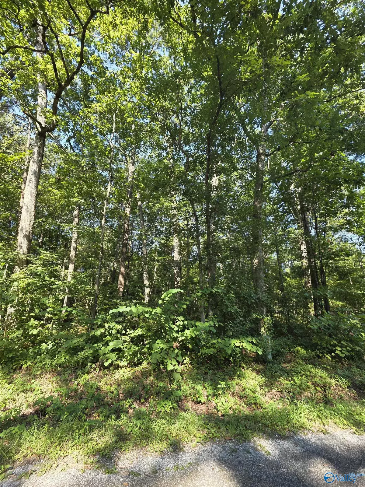 Leesburg, AL 35983,Lot 35 County Road 249