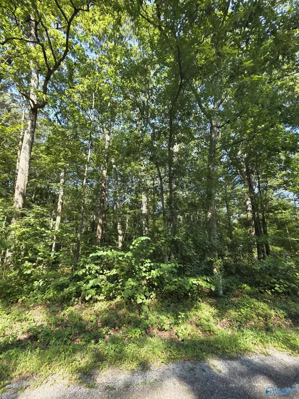Lot 35 County Road 249, Leesburg, AL 35983