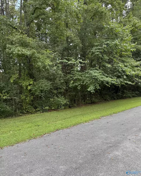 LOT 28 Canal Street, Childersburg, AL 35044