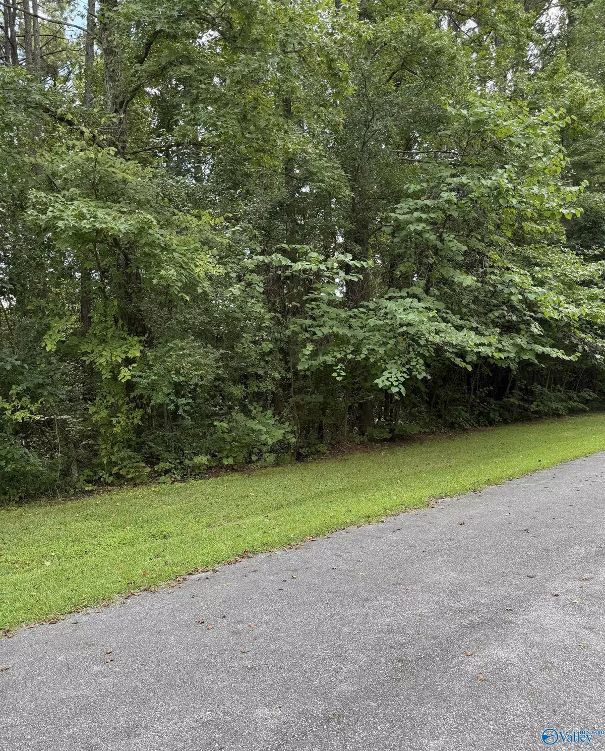 Childersburg, AL 35044,LOT 28 Canal Street