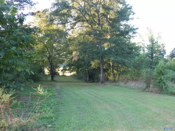 Falkville, AL 35622,10 acres Highway 55 East