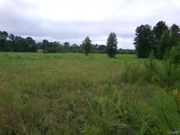 Leesburg, AL 35983,Lots 4- 9 County Road 235