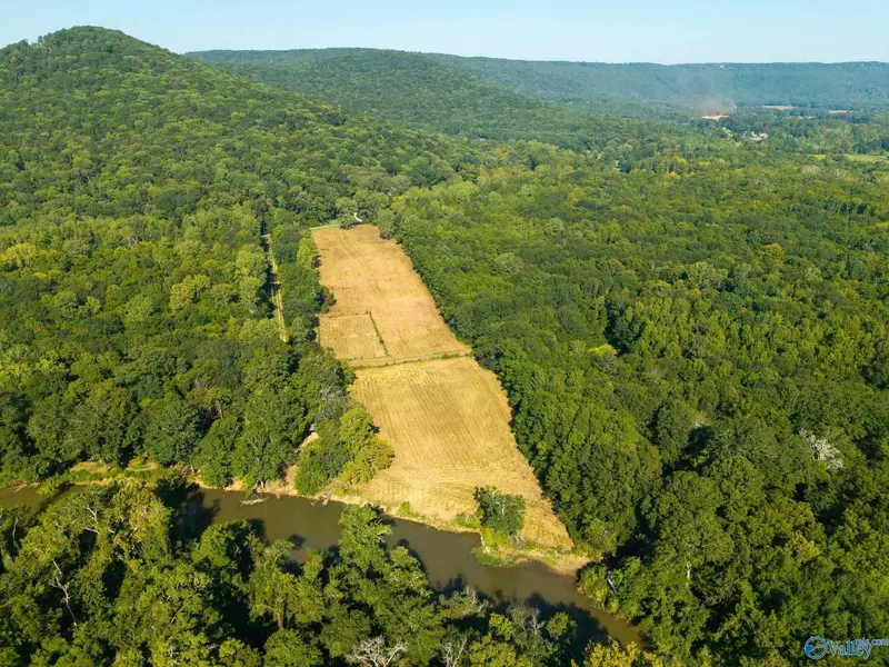 713 Rock Spring Road, Owens Cross Roads, AL 35763