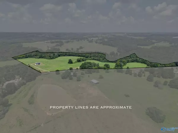 Horton, AL 35980,823 Mcclarty Road