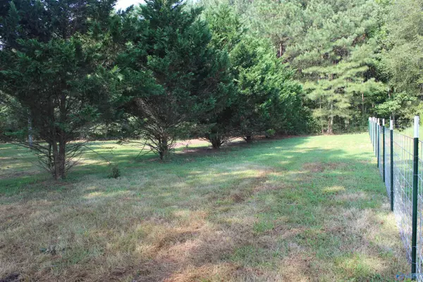 Fyffe, AL 35971,1.0 County Road 424