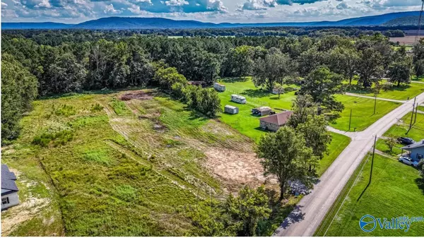 388 Wilson Mann Road, Owens Cross Roads, AL 35763