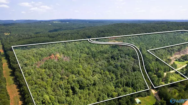 Altoona, AL 35952,62 Beautiful AC Toney Drive