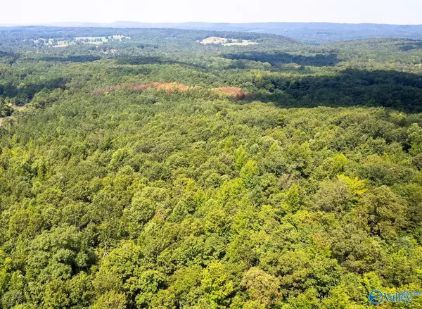 Altoona, AL 35952,62 Beautiful AC Toney Drive