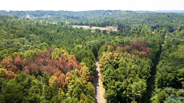 Altoona, AL 35952,62 Beautiful AC Toney Drive