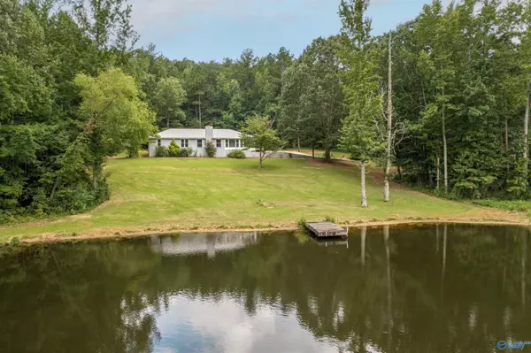 1712 Beason Cove Road, Steele, AL 35987