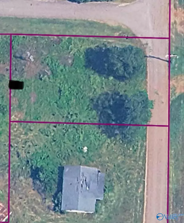 Lot 4 School House Drive, Belle Mina, AL 35615