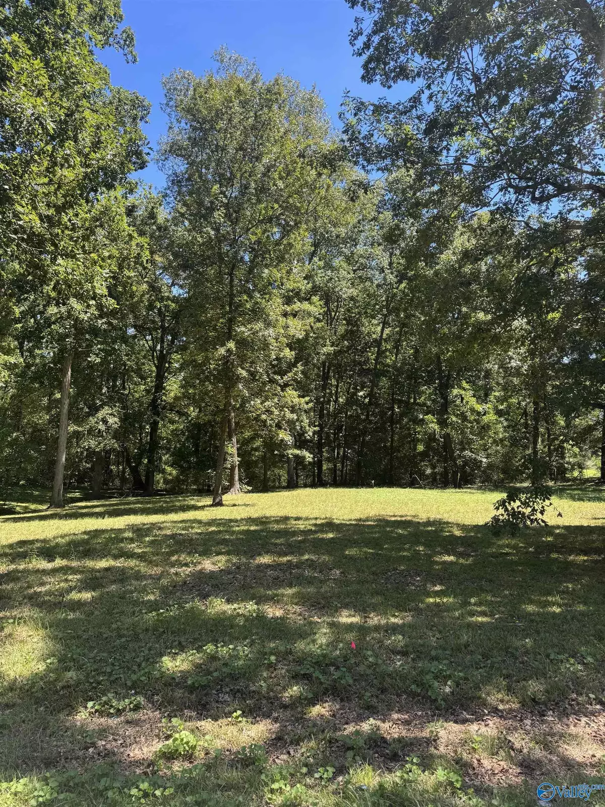 Fyffe, AL 35971,LOT 44 & 45 Sherwood Blvd