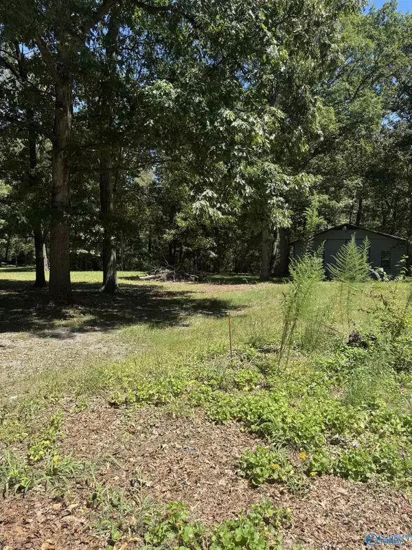 Fyffe, AL 35971,LOT 44 & 45 Sherwood Blvd