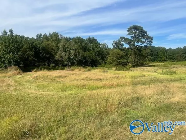 Boaz, AL 35956,315B Misty Lane