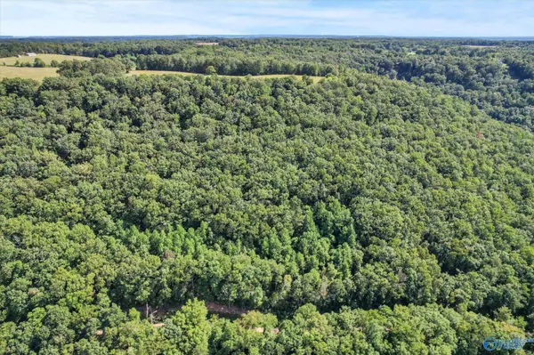 Grant, AL 35760,15 Shin Point Road