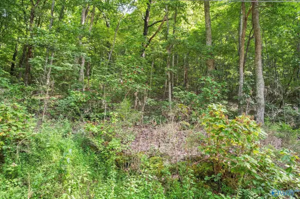 Grant, AL 35760,15 Shin Point Road