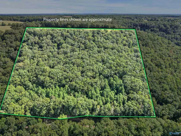 Grant, AL 35760,15 Shin Point Road