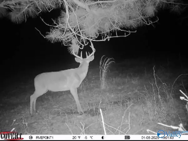 Moulton, AL 35650,2435 County Road 221