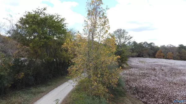 Moulton, AL 35650,2435 County Road 221