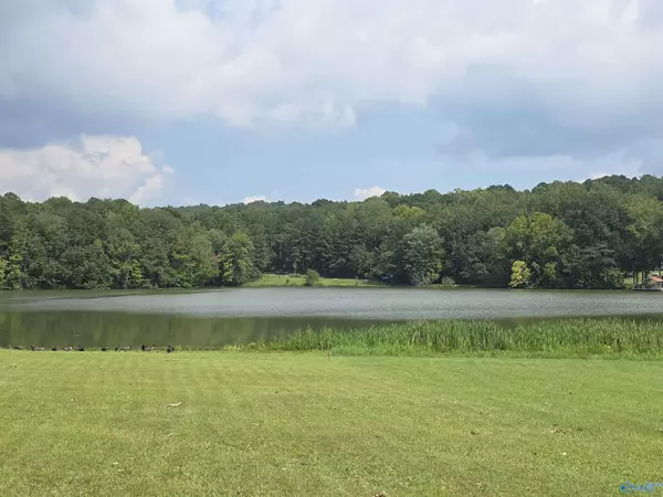 Cedar Bluff, AL 35959,Lot 13 County Road 92