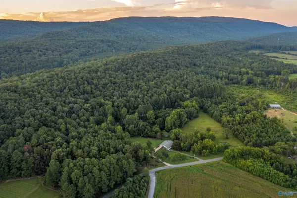 Gadsden, AL 35901,1770 County Road 42