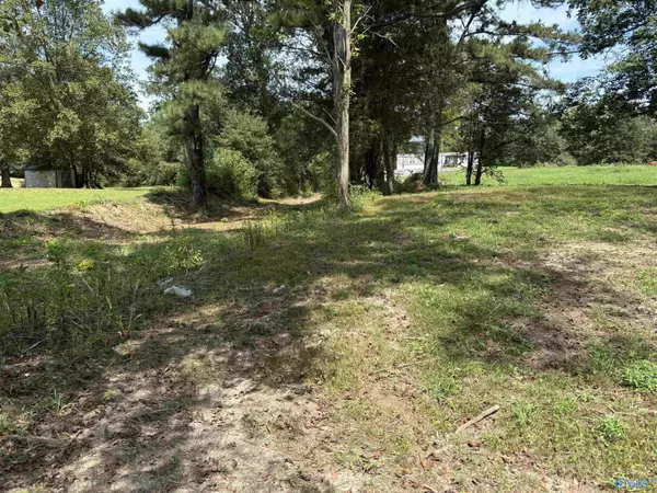 Albertville, AL 35950,1.52 ac Needmore Road
