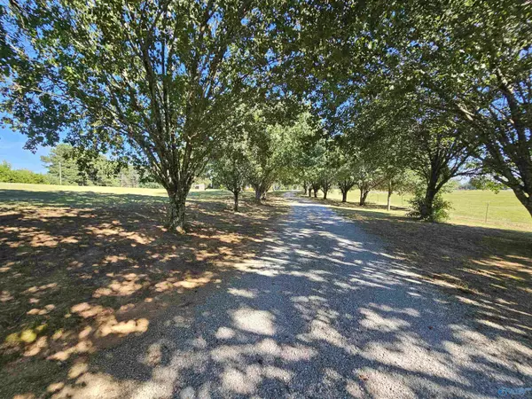 Union Grove, AL 35175,250 Dunn Road