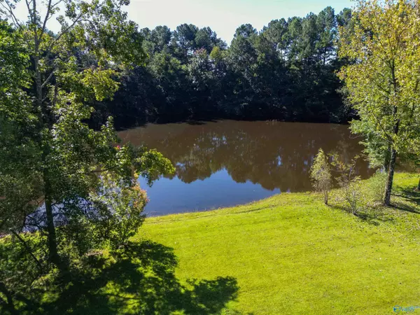 Pisgah, AL 35765,12 County Road 718