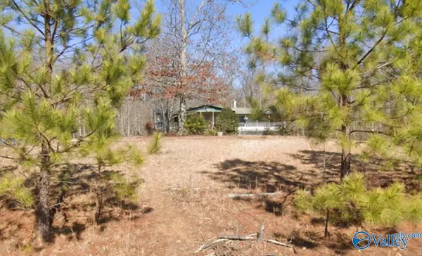 145 County Road 207, Scottsboro, AL 35768