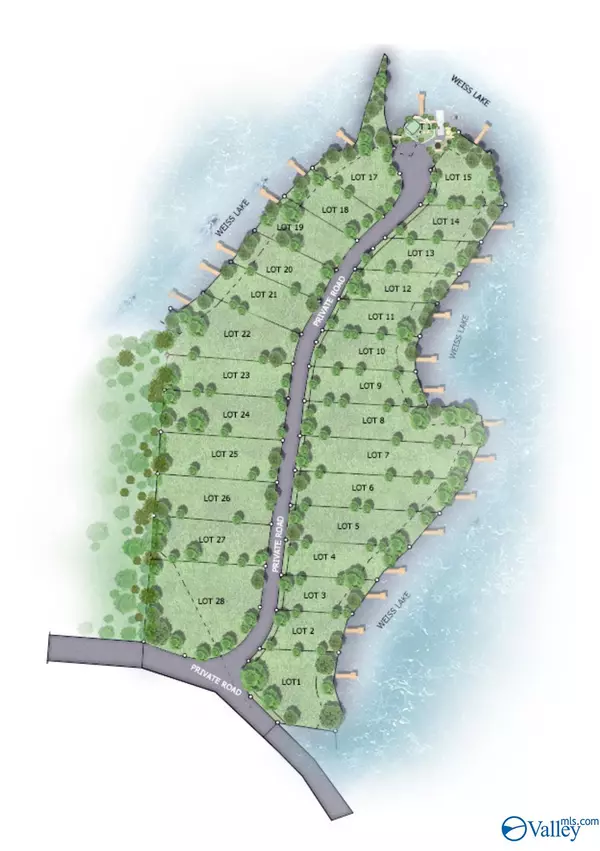 Cedar Bluff, AL 35959,Lot 26 County Road 1057