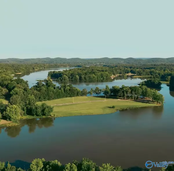 Cedar Bluff, AL 35959,Lot 28 County Road 1057