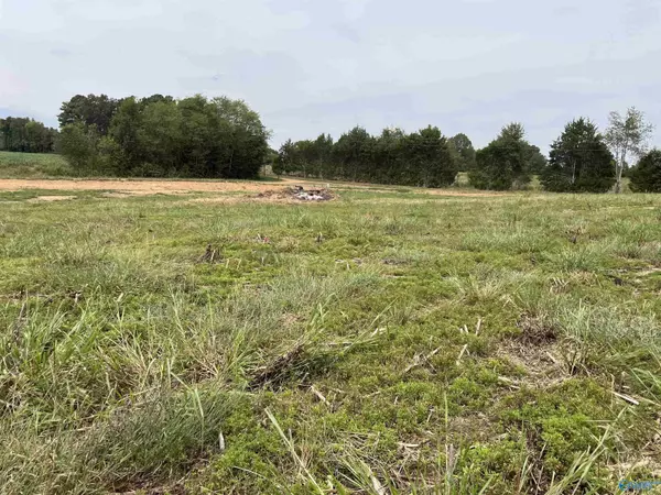 Athens, AL 35614,21638 Holland Road