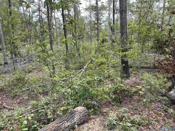 Athens, AL 35614,21480 Holland Road